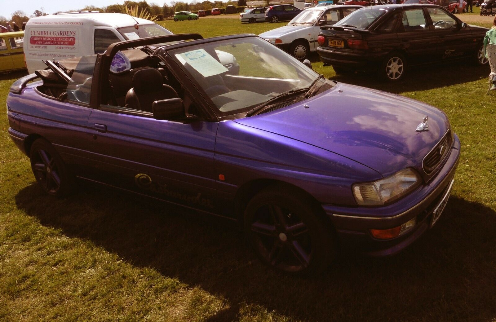 Something For the Sun CAR #41